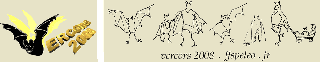 "V-bat" & "Bats-tribe" drawings  
-- Motifs "V-bat" & "Frise de chauve-souris"
